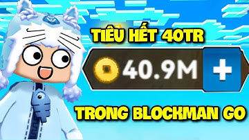 MINI GAME: MEOWPEO THỬ THÁCH TIÊU HẾT 40 TRIỆU XU TRONG DEMON HUNTER BLOCKMAN GO