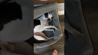 IMG 1581