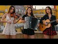 Flamenco Guitar Violin Accordion The Most Enchanting Fusion