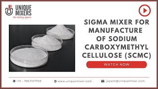 Sigma Mixer For Manufacture of Sodium Carboxymethyl Cellulose (SCMC)