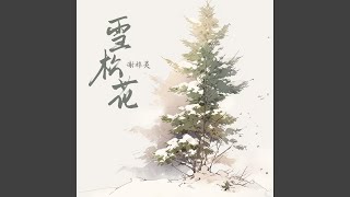 雪松花