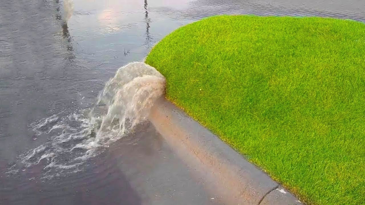 Heres What Happens When You Pop A Grass Bubble