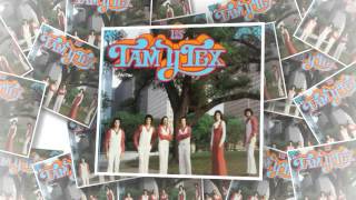 Video thumbnail of "LOS TAM Y TEX noche de santa marta"