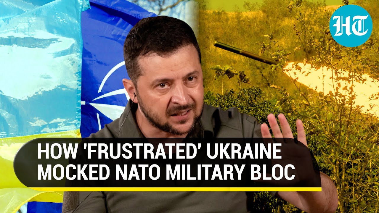 Putin Has The Last Laugh As Ukraine Lashes NATO Come On Beg Us For putin-has-the-last-laugh-as-ukraine-lashes-nato-come-on-beg-us-for