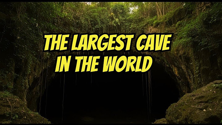 Exploring the World's Largest Cave (with its own ecosystem!)