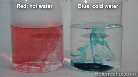 Food Coloring Diffusion