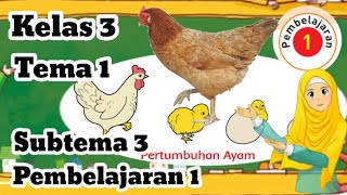 Kelas 3 Tema 1 Subtema 3 Pembelajaran 1