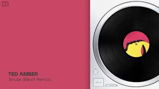 Ted Amber - Terula (Barut Remix) | dub techno, techno, minimal house music