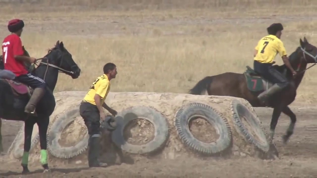 Борулу-Достук Кубок 2014