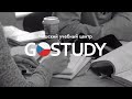 Вебинар для студентов GoStudy 2021/2022 по вопросам вклейки виз и приезда на учебу