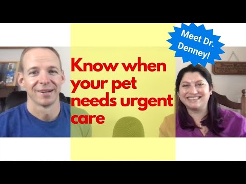 How do you know your pet is having an emergency?