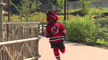 Running with The Devils 2017