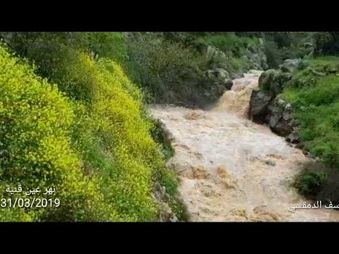 نهر سعار مدخل قرية عين قنية