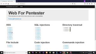 Web For Pentester | PentesterLab XSS: Example 3