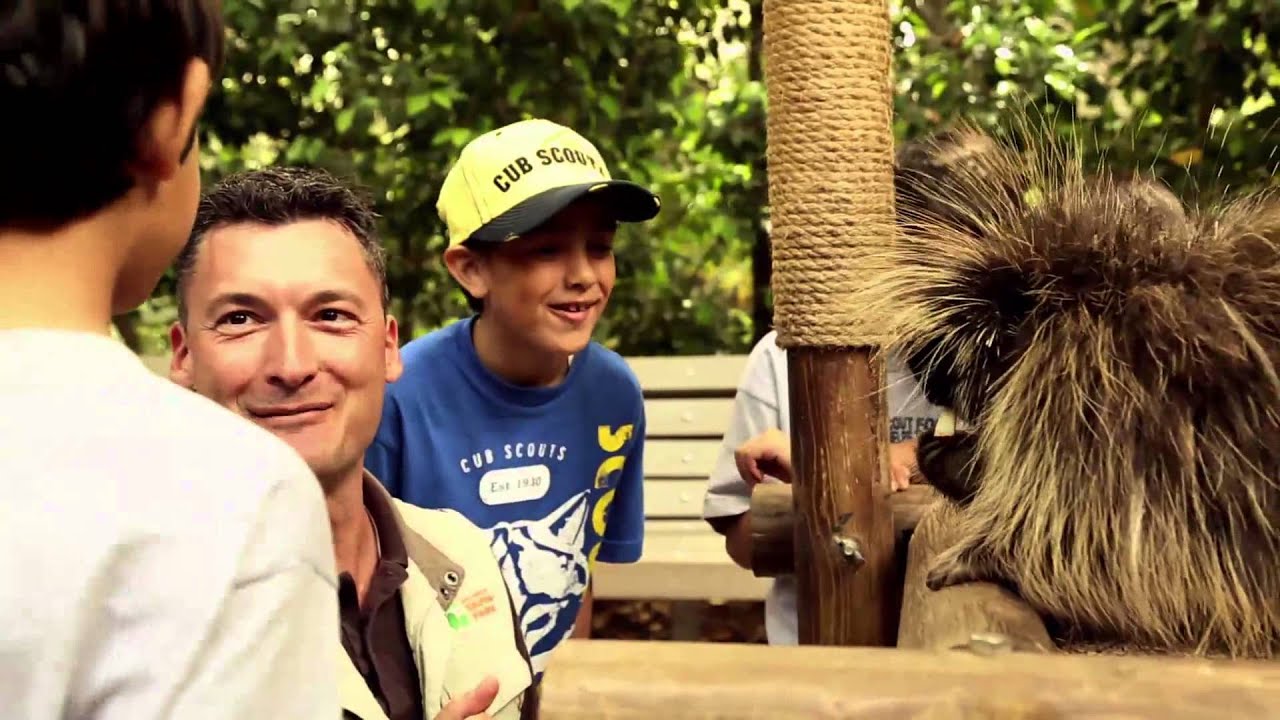 Join Cub Scouts Video YouTube