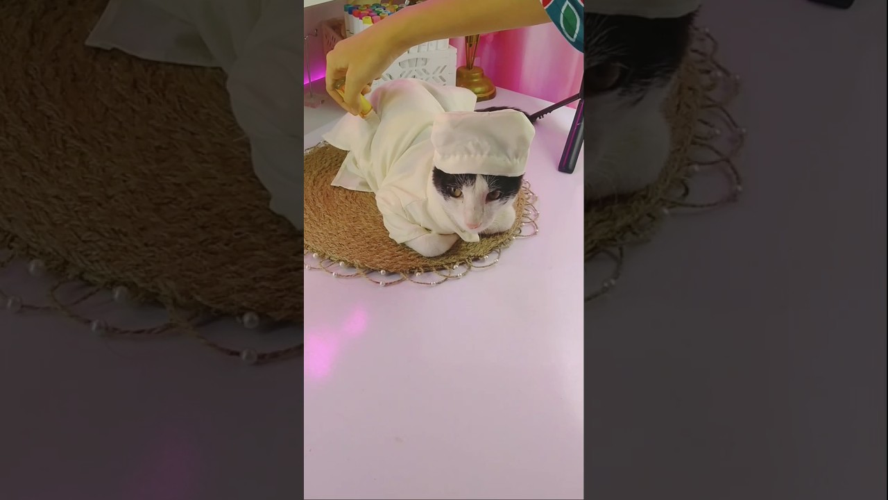 Get ready with my cat for Eid🌙🕊️ | Eid Special |