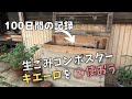 生ごみコンポスター「キエーロ」を②使おう 100日間の記録