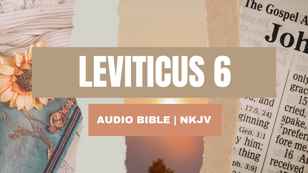 Leviticus 6 Audio Bible Bible Reading NKJV Version YouTube