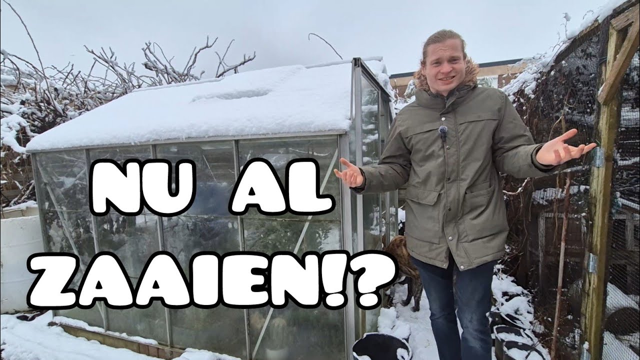 Wat te Poten & Zaaien in Januari! (Zoete Aardappel, Gember & meer)