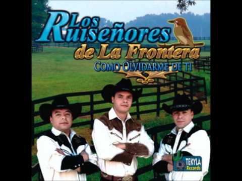 Los Ruiseñores de la Frontera - Homenaje al Halcón