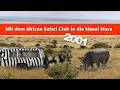 Mit Dem African Safari Club In Die Masai Mara 2001 Safari Wildlife Africansafari