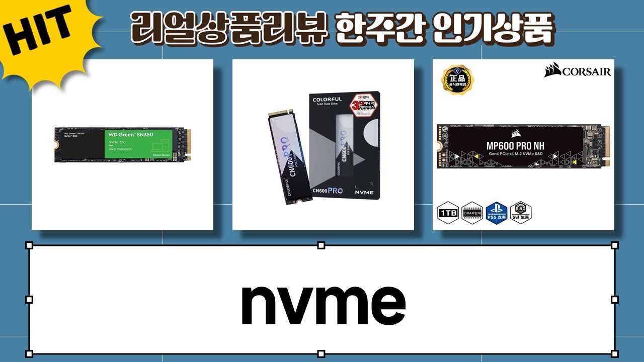 1TB NVMe SSD 대전! WD Blue SN5000 vs MP600 PRO NH