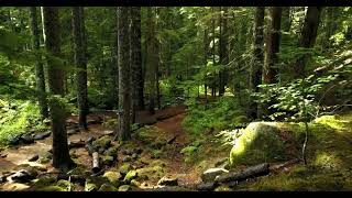 1448735 Uhd 4096 2160 24Fps