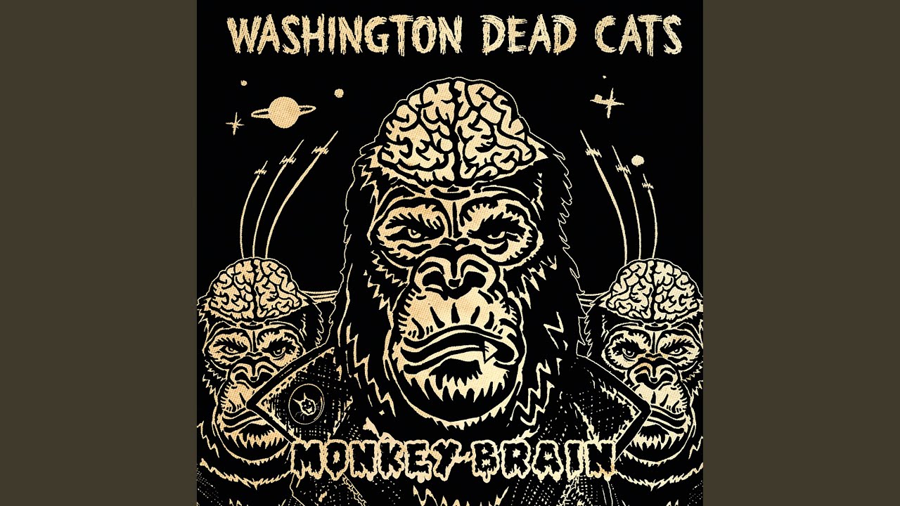 Monkey Brain - YouTube