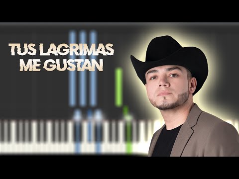 Tus Lagrimas Me Gustan - Lenin Ramirez 