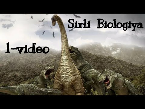 Video: Biologiyada tritikale nima?