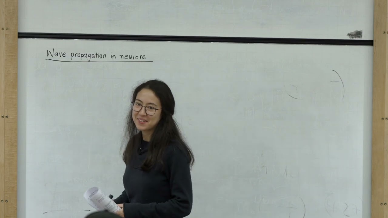 Mathematical Physiology, Lecture 6: Spatial dependence in the FitzHugh–Nagumo equations