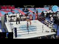 Ring 3 Day 2 WAKO World Championships 2023
