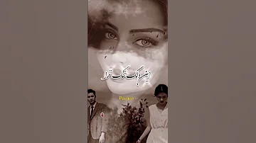 امشب که زیبا شده ای مالک دل ها شده ای 