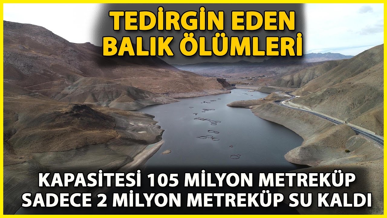 2 Milyon Metreküp Suyu Kalan Zernek Baraj Gölü'nde Balık Ölümleri