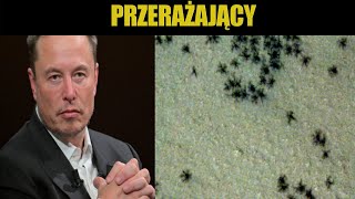 CZY NA MARSIE SĄ PAJĄKI?