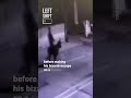 Turkish man robs the jewelry store and escapes on a donkey #crime