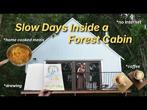 කැලේ මැද පුංචි ගෙදර සතුටින් ගෙවුන දවස් - Slow Days in a Forest Cabin in Australia 🌳☕📖 - VLOG