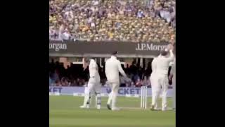 After getting out Steve Smith reaction in the dressing room #Shorts