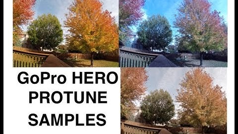 GoPro HERO PROTUNE for beginners or 1st timers