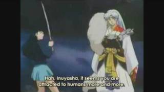 tetsaiga vs the squirrel dun dun dun