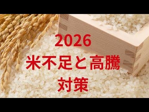🍚コメ価格が過去最高値！🛒 令和の米騒動の背景と未来の展望🌾💰 - YouTube