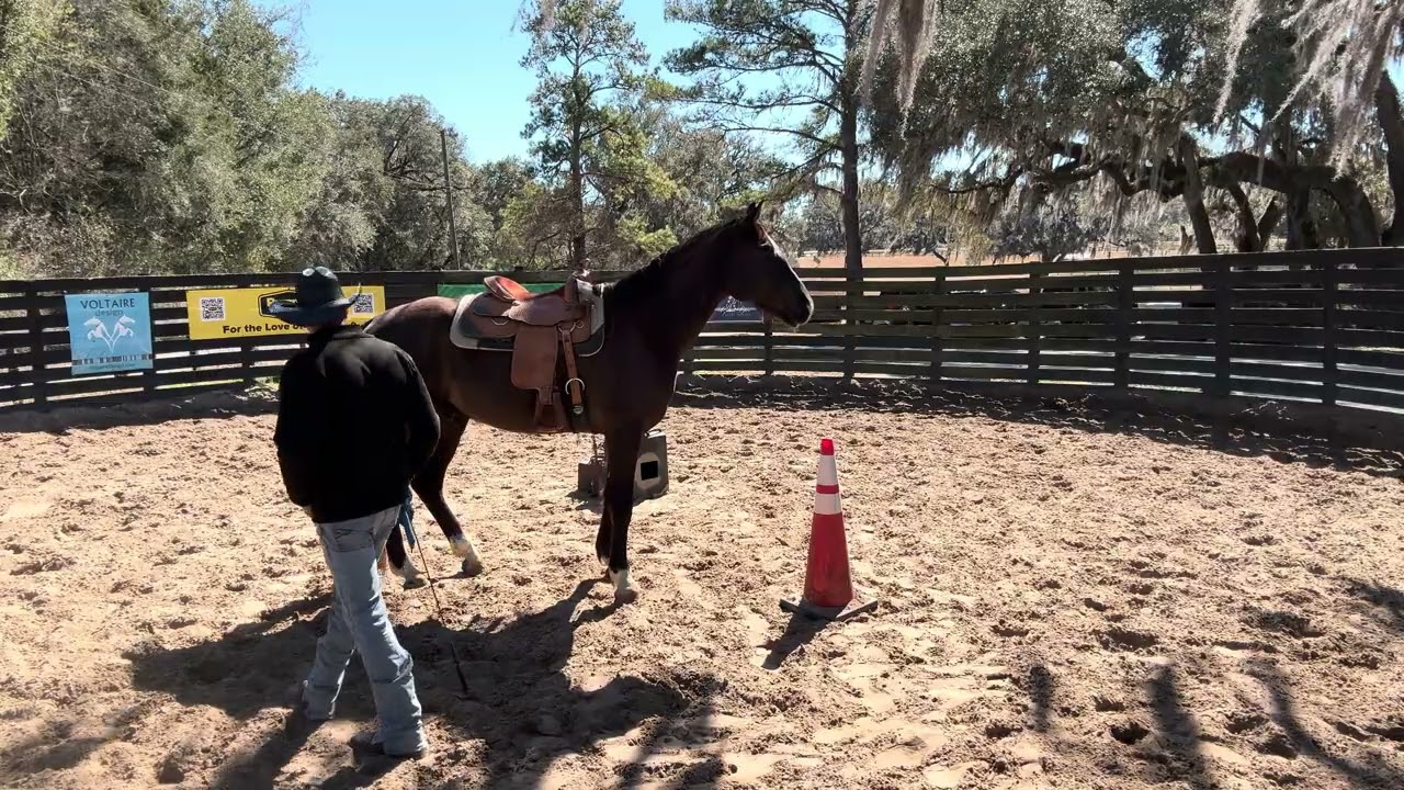 Laser Focused but not on you