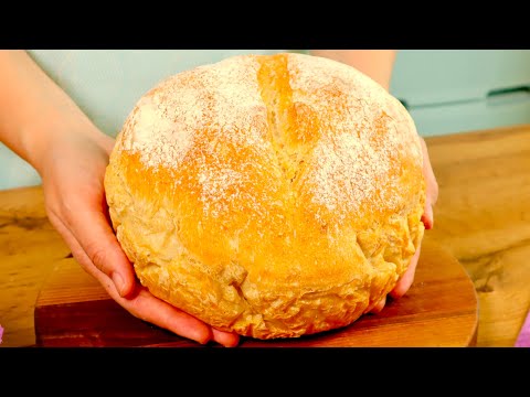Now you don't have to buy anything! BREAD WITHOUT KNEADING! Anyone can bake bread with 4 ingredients