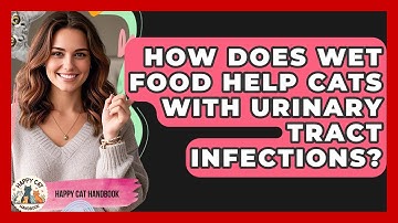 How Does Wet Food Help Cats With Urinary Tract Infections? - Happy Cat Handbook