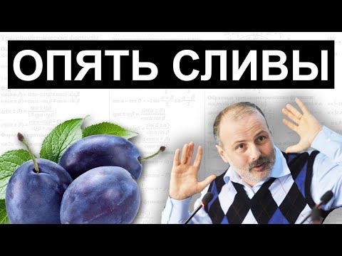 Видео: СЛИВ ЕГЭ 2024 ПО МАТЕМАТИКЕ!!! ЭТО СЛУЧИЛОСЬ ОПЯТЬ!