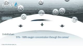 MKT 133 Rev 2 Permeability Animation