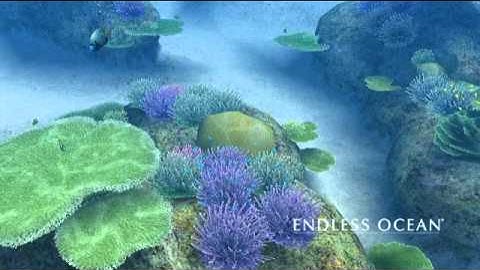 Endless Ocean - Prayer, Hayley Westenra