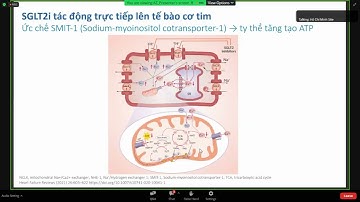 Nhìn từ cơ chế đến ứng dụng lâm sàng của SGLT2i trong dự phòng và điều trị suy tim