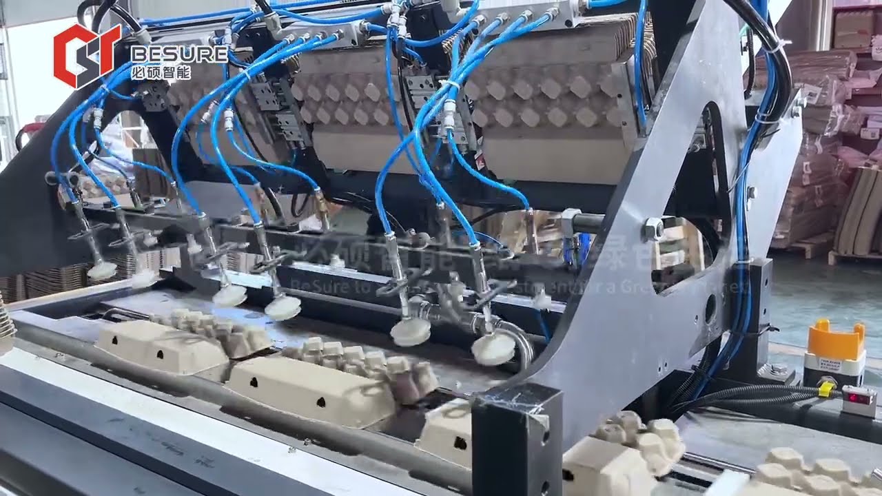 Molded pulp egg carton Production Line label machine | Besure Technology