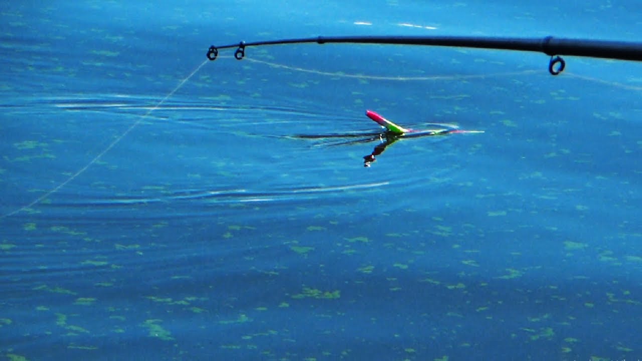 HERMOSA PESCA de PEJERREY en Córdoba 2023 - Pesca en el Dique San Roque